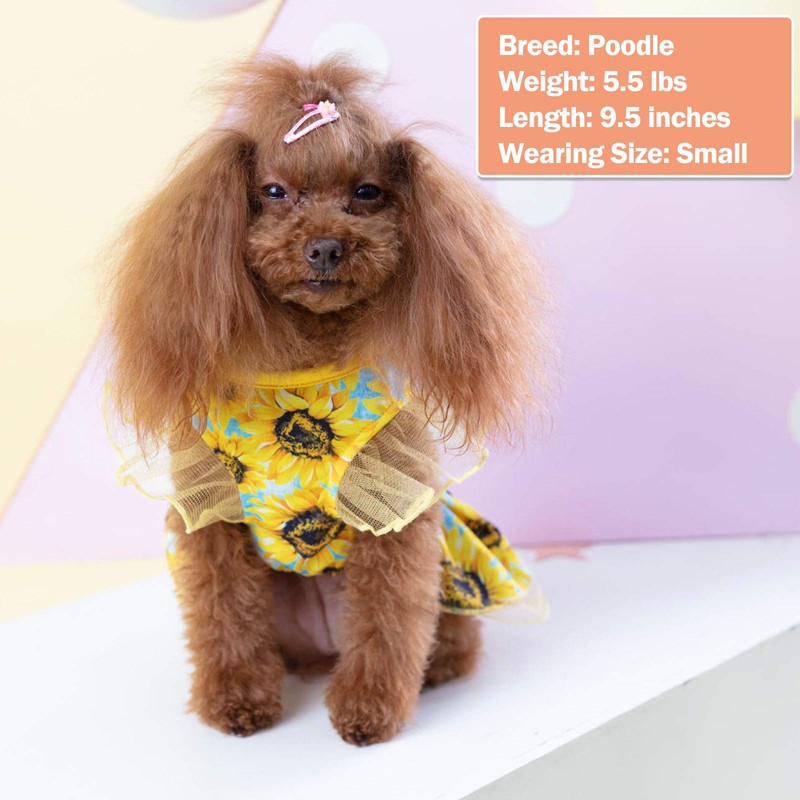 Kyeese 321013042 - Vestido para perro hecho en China