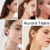 Aurora Tears Sagittarius Stud Earrings 925 Sterling Sliver 12 Zodiac