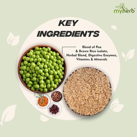 Generic MYHERBS Plant Protein Powder | Pea and Brown Rice Protein Powder | Vegan High Protein Powder | 27 gm Protien,21 Vital,6 gm BCCAs | Sugar Free | for Men and Women | Chocolate Flavour (1 Kg)