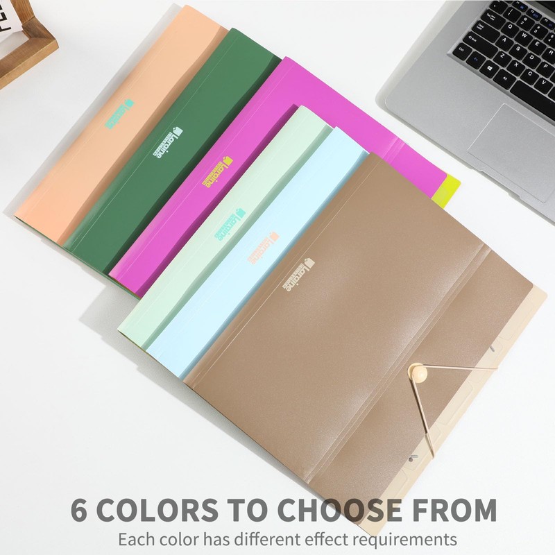 Sworld Expanding File Organizer with 6 Pockets, Accordion File Folders