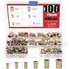 Hilitchi 100 Pcs UNC Rivet Nuts Threaded Insert Nut Assortment