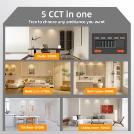 Ajbvp LED Ceiling Spotlight 18W Dimmable Surface Mount Ceiling Light,4.72 inches,5CCT 2700K-5000K,for Living Room, Kitchen, Bathroom, Workplace and Other Rooms (Black)