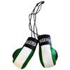 Nigeria Flag Mini Boxing Gloves for Cars or Home