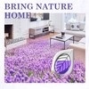 Air Freshener for Home, 4 Pack, Lavender, Odor Eliminator for