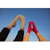 Rainbow Socks – Women's Men's Classic Colourful Cotton Socks -