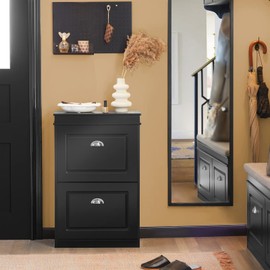 SoBuy Small Shoe Cabinet, Slim Shoe Rack 2 Flip-Drawers, Thin Shoe Storage Cupboard Organizer Unit for Entryway and Hallway, Black FSR78-SCH