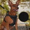 Meifsou Dog Harness and Leash Set, Small Sized No Pull