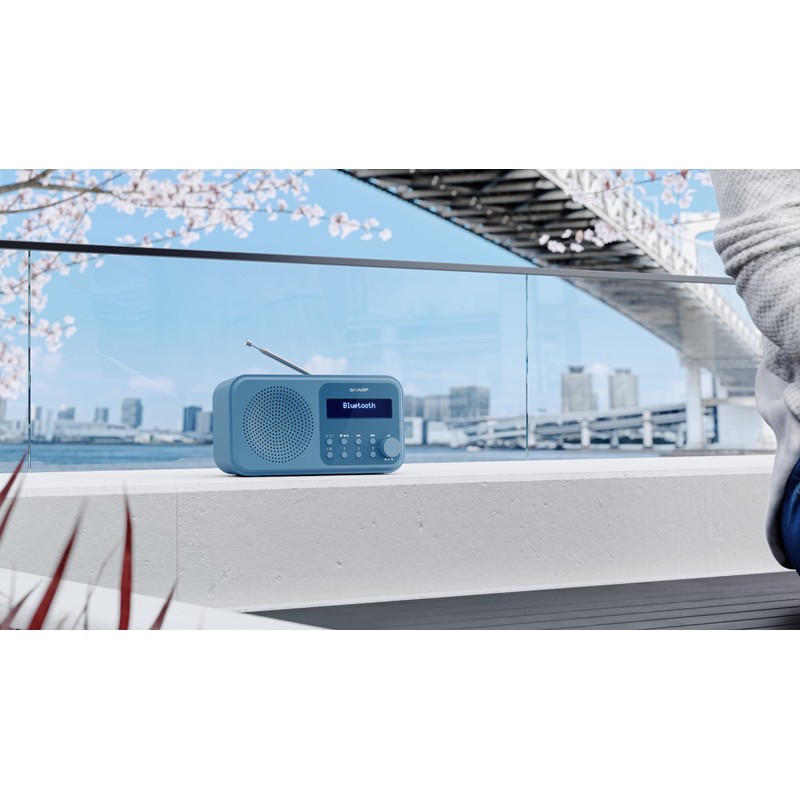 SHARP DR-P420 Portable Digital Radio (DAB/DAB+/FM with RDS, USB, Bluetooth