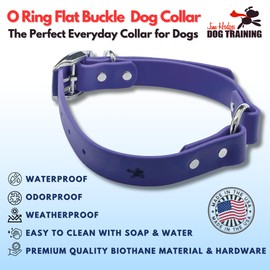 JIM HODGES DOG TRAINING O Ring Flat Buckle Dog Collar for Dogs, Biothane, Waterproof, Easy Wash, Walking Training Hunting, Made in The USA, Professional Grade, Small, Purple