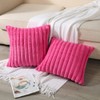 Soleebee Set of 2 Throw Pillow Covers Soft Cozy Velvet