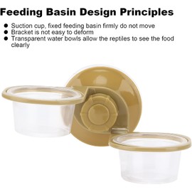 LATRAT Reptile Feeding Bowl Reptile Feeding Bowl Feeding Bowl Drinking Bowl Gecko Feeding Station Bowl Holder with Suction Cup for Terrarium Reptiles, Double Sink