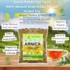 BEXPERTSUSA Store Arnica Flor Herbal Tea – 4 oz (113g)