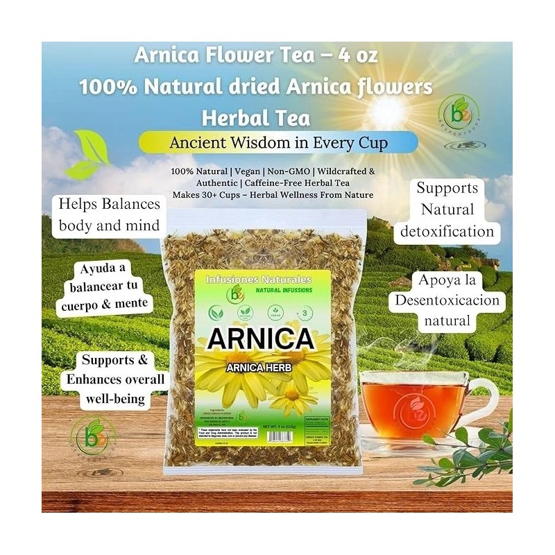 BEXPERTSUSA Store Arnica Flor Herbal Tea – 4 oz (113g)