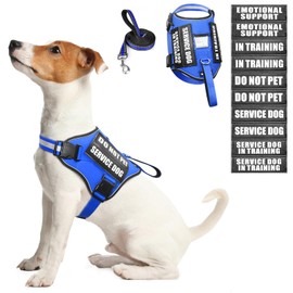 WINSEE Dog Harness & Leash Set, Small Blue, Emotional Support Therapy Vest with 10 Patches, Reflective, Adjustable, for Medium & Large Dogs