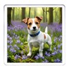 Jack Russell Dog Coaster Set. 4 different Jack Russell Terrier