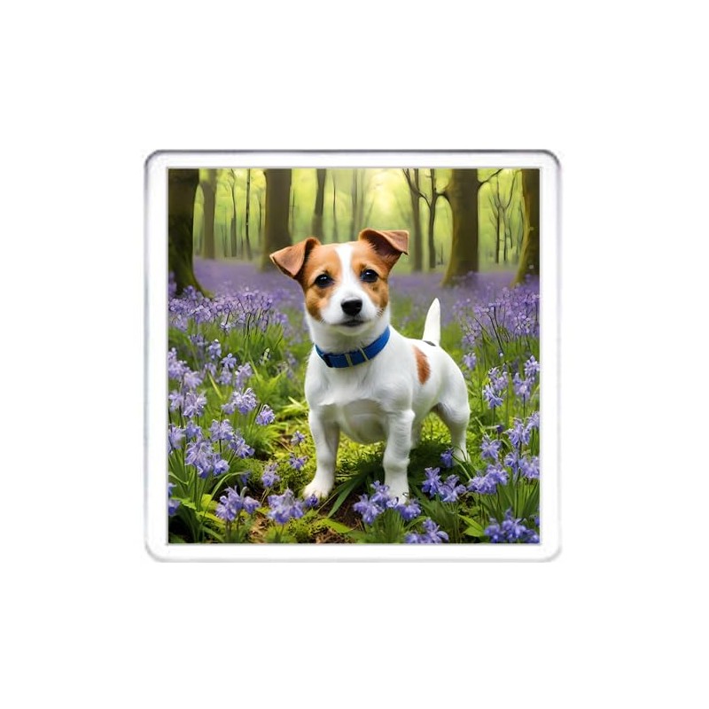 Jack Russell Dog Coaster Set. 4 different Jack Russell Terrier