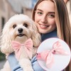 Crovakeu 2-Pcs Pink Adjustable Dog Collar with Bow - Sailor