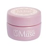 Preanfa PGU-M316 Color Gel Lapin Beige 316 0.1 oz (3