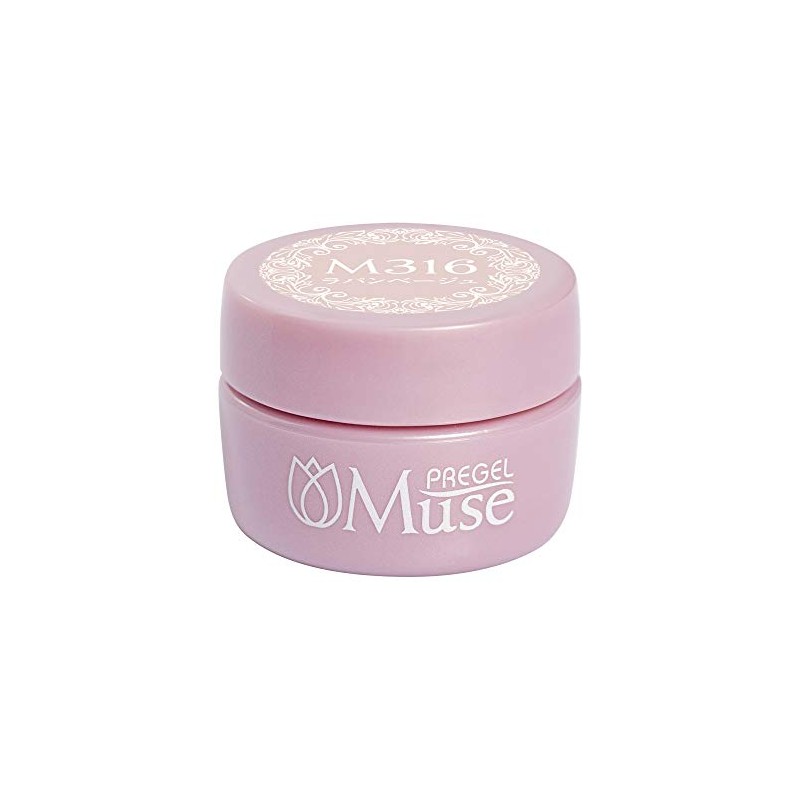 Preanfa PGU-M316 Color Gel Lapin Beige 316 0.1 oz (3