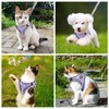 Brifit Cat Harness with Lead, Escape Proof, Cat Lead with