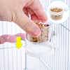 Fhandong Plastic Bird Detachable Transparent Bowl, 4Pcs, Easy Access Design,