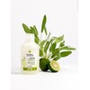 Shampoo Indush Sage Bergamot 250ML (Shampoo & Shower Gel) /