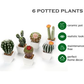 Mini Artificial Cactus Plants in Ceramic Pots 6 Pcs Potted Faux Succulents in Pots Fake Potted Plants Cactus Decor Small Artificial Plants for Home Decor Indoor Office Desk Tabletop Shelf