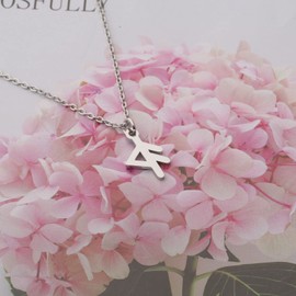 bobauna Bind Rune Necklace Viking Symbol Norse Pagan Jewelry Gift (Rune Necklace grace)