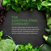 EMERALD LABS Men's 1 Daily Multi - Additive-Free Men's Multivitamin