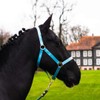 Pferdelinis Halter Foal Halter for Mini Shetty Halter for Wooden