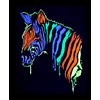 Midnight Glo UV Paint Acrylic Black Light Reactive Bright Neon