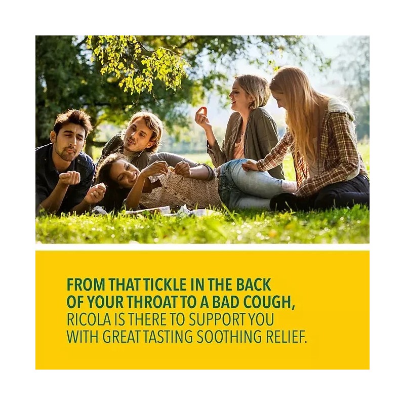 Ricola 2 PACK - Ricola Sugar Free Lemon Mint Drops,