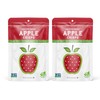 Nature’s Turn Freeze-Dried Fruit Snacks, Apple Crisps, Pack of 2