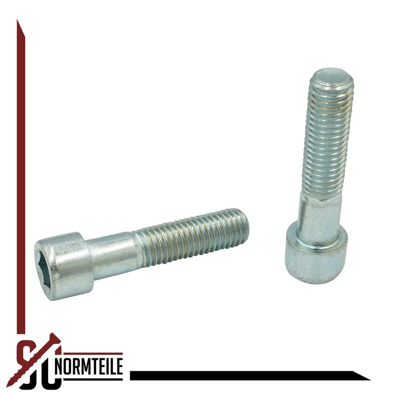 Cylindrical Screws with ISK - M5 x 50 mm -