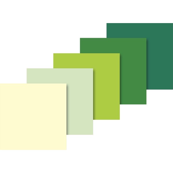 Baier Schneider & Tissue Paper 50 x 70 CM Green / 5 Assorted Colors (10 Sheets)