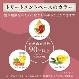 Cielo Color Treatment for Retouch (Gray Hair Dye Treatment) Ash Black 140g Partial Hair Color Self-Color hoyu Houyou Cielo