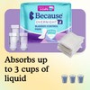 Because Incontinence Pads for Women - Extra Heavy Absorbency, Overnight
