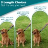 PetBonus Heavy Duty Short Dog Leash, 24 Inch Nylon Traffic