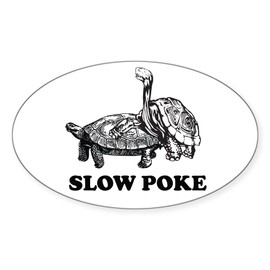 CafePress Turtle Slow Poke Oval Bumper Sticker, Euro Oval Car Decal (880437933) - White, Small - 3x5