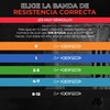 BOLD TRIBE Liga de Resistencia Celeste No. 3 - Banda