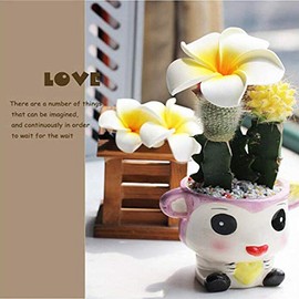 FRCOLOR 10pcs 7cm Plumeria Hair Clips Hawaiian Artificial Flower Clip Hawaii Hairpins for Women Girl Wedding Party Beach (White with Yellow)