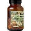Santa Cruz Paleo Enzimas digestivas antes de la comida