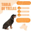 YDGAKN 2PCS Collar de Castigo para Perro,Collar de Entrenamiento para