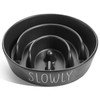 LE TAUCI PET Dog Slow Feeder Bowl, Ceramic, 3 Cups,
