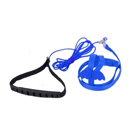 FORZENA Birds Adjustable Harness and Leash, Parrot Outdoor Flying Training Traction Rope Straps with Cute Wing for Small Animal Birds, Parrots, Pigeons, Lizard, Turtles (XL,Blue)