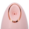 Facial Steamer with 100ml Water Tank Moisturizing Cleaning Pores Mist