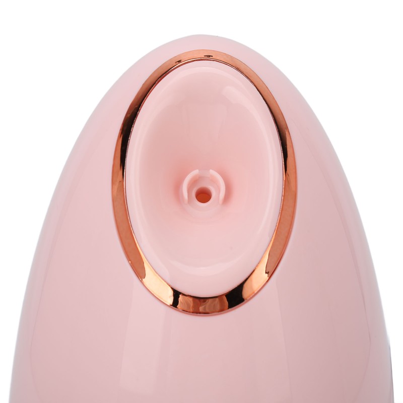 Facial Steamer with 100ml Water Tank Moisturizing Cleaning Pores Mist