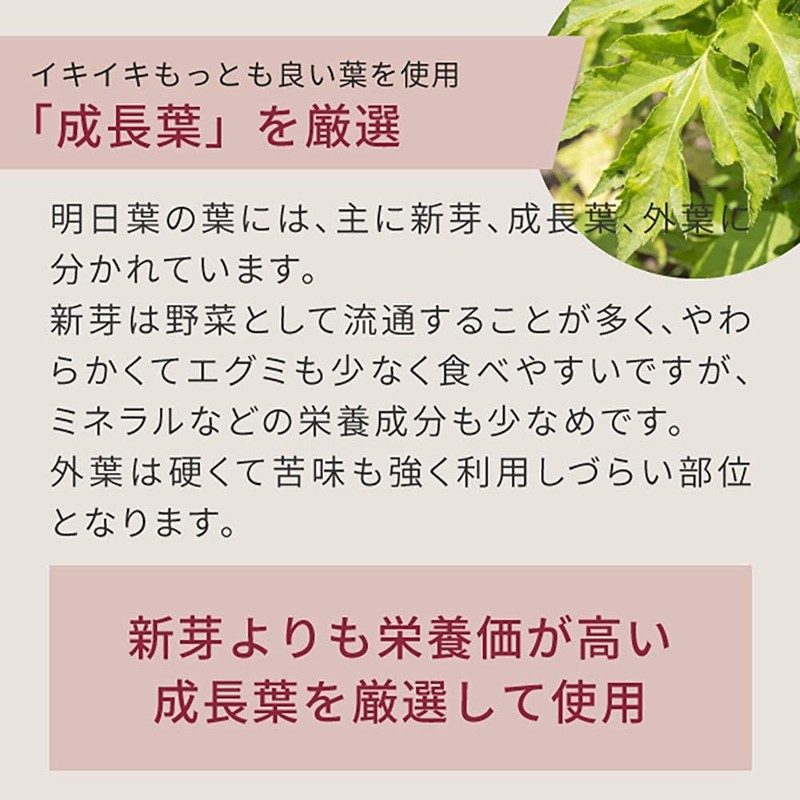nichie 明日葉 青汁 八丈島産 100% パウダー 粉末 400g 植物由来サプリメント