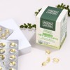 Vegetable Altige Omega 3 Microalgae Pregnant Women Kids Children RTG