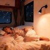 THALASSA 2-Pack 12V Flexible Gooseneck Light Black RV Reading Light